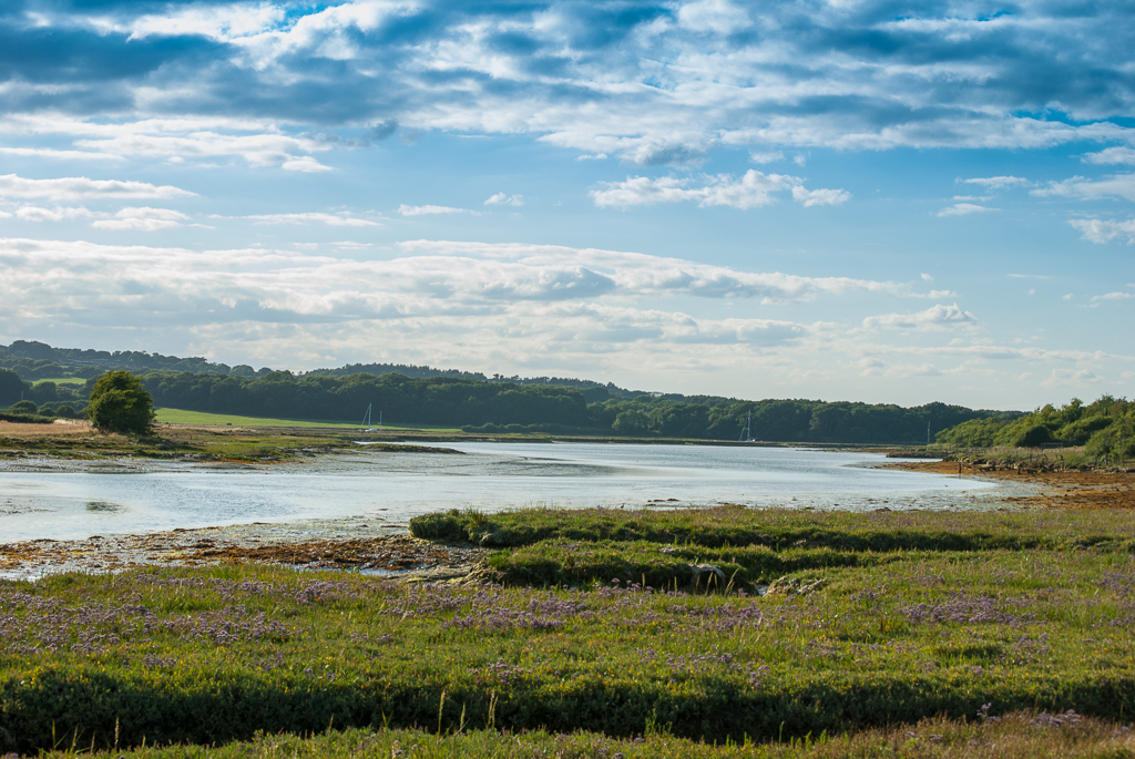 Newton creek