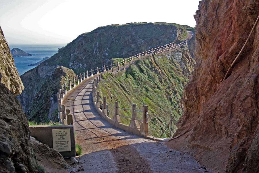 Sark2